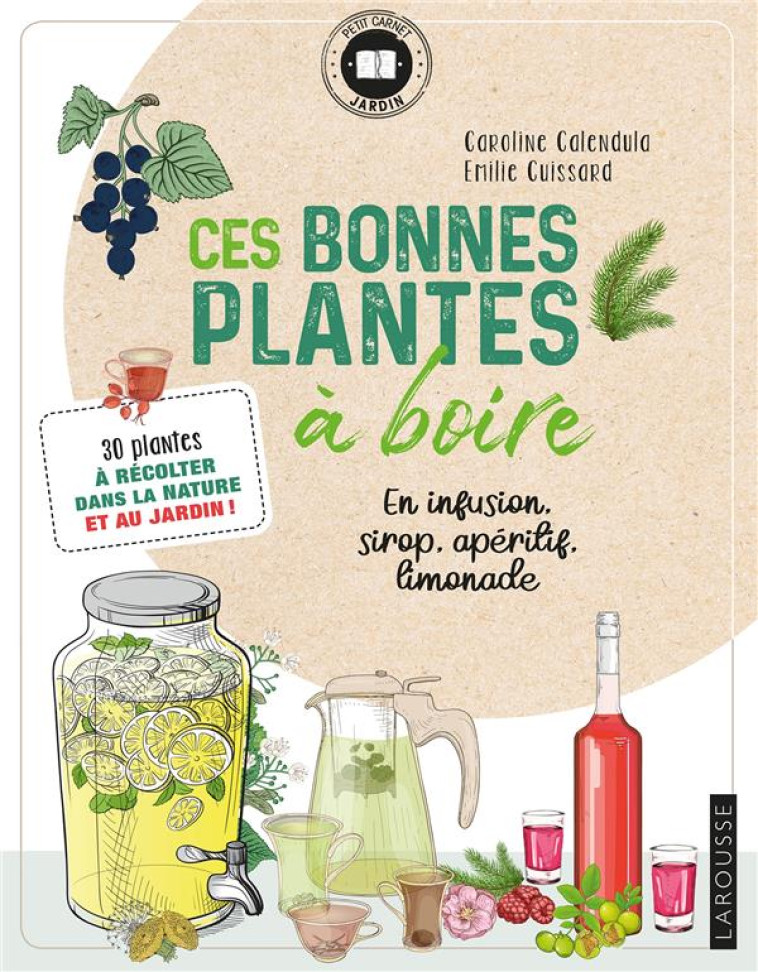 CES BONNES PLANTES A BOIRE - 20 RECETTES DE BOISSONS NATURELLES MAISON - EMILIE CUISSARD - LAROUSSE