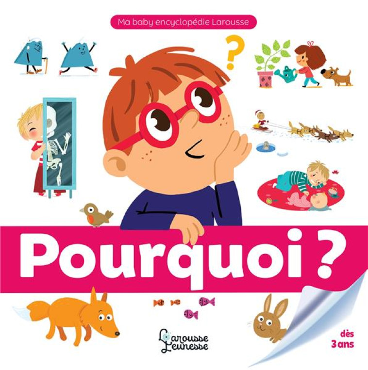 POURQUOI ? - ROYER ANNE - LAROUSSE