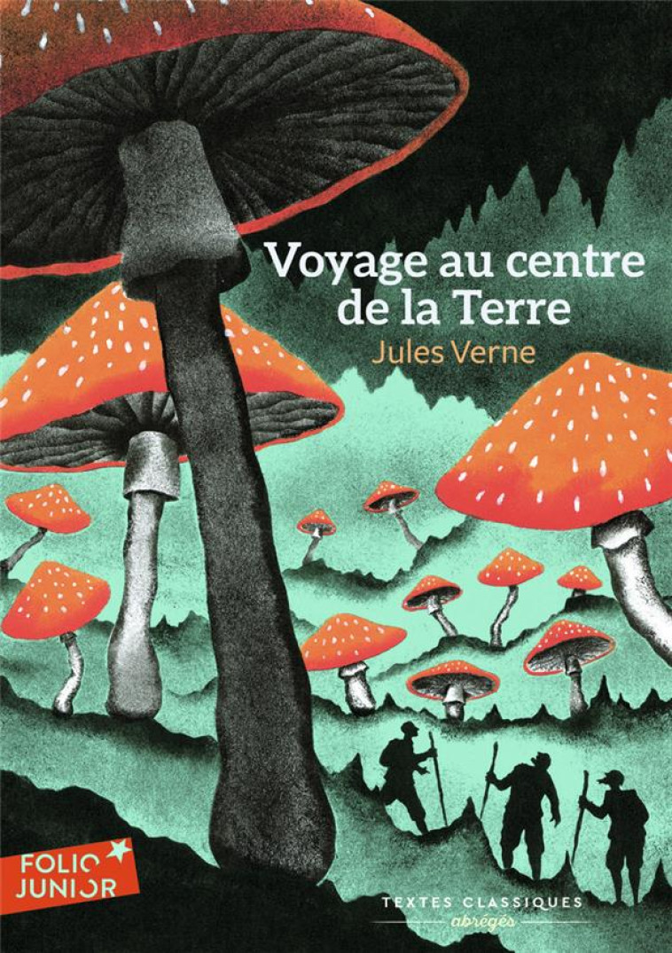 VOYAGE AU CENTRE DE LA TERRE (ABREGE) - VERNE/RIOU - GALLIMARD