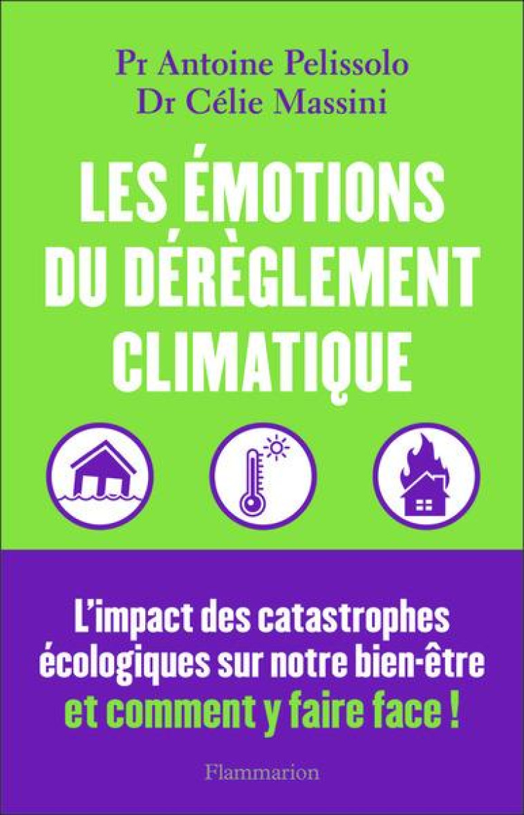 LES ?MOTIONS DU D?R?GLEMENT CLIMATIQUE - MASSINI/PELISSOLO - FLAMMARION