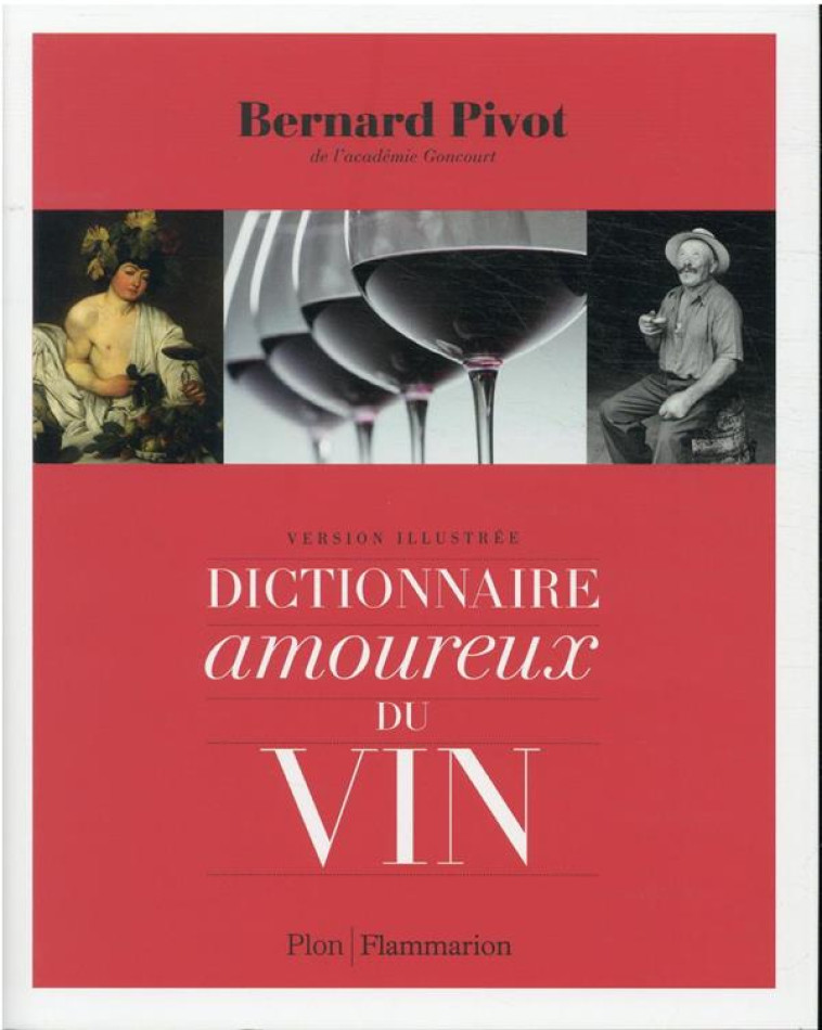 DICTIONNAIRE AMOUREUX DU VIN (COMPACT) - PIVOT BERNARD - FLAMMARION