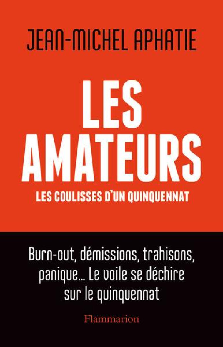 LES AMATEURS - APHATIE JEAN-MICHEL - FLAMMARION