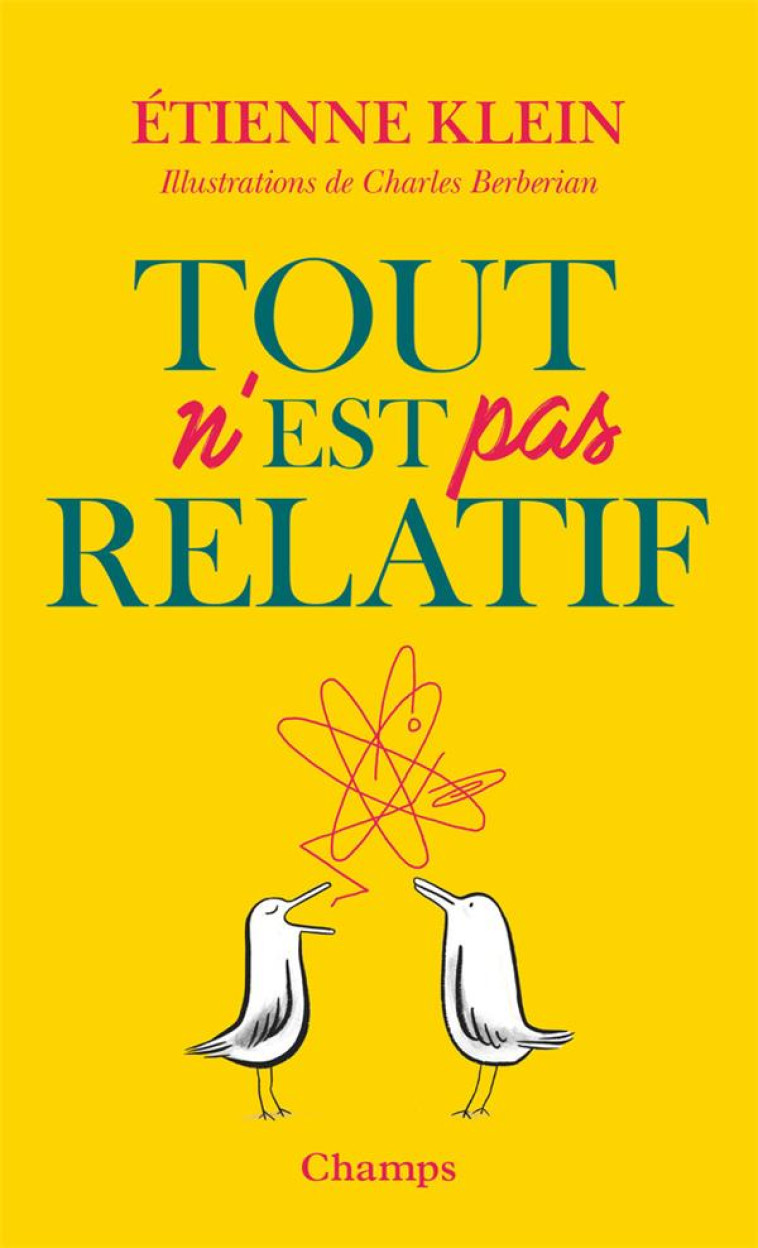 TOUT N-EST PAS RELATIF - KLEIN/BERBERIAN - FLAMMARION