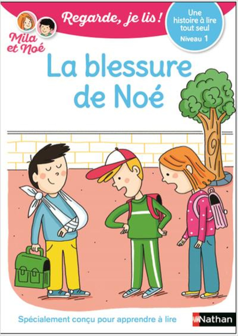 LA BLESSURE DE NOE -UNE HISTOIRE A LIRE TOUT SEUL - - BATTUT/PIFFARETTI - CLE INTERNAT