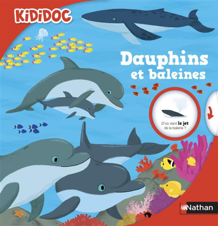 DAUPHINS ET BALEINES KIDIDOC - BAUSSIER/CHOUX - Nathan Jeunesse