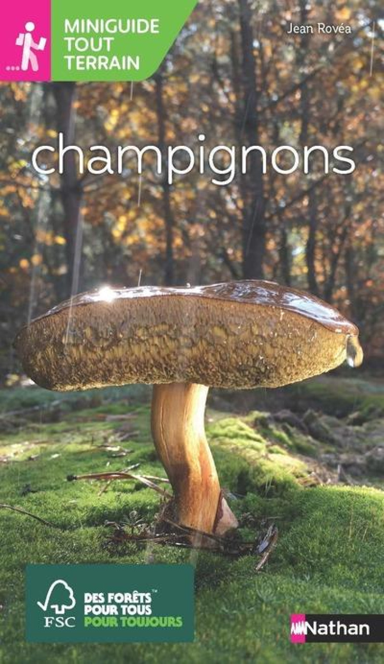 LES CHAMPIGNONS-MINIGUIDE TOUT TERRAIN - ROVEA JEAN - CLE INTERNAT