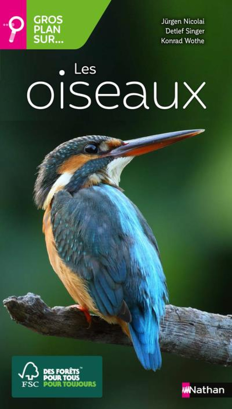 GROS PLAN SUR LES OISEAUX - NICOLAI/SINGER/WOTHE - CLE INTERNAT