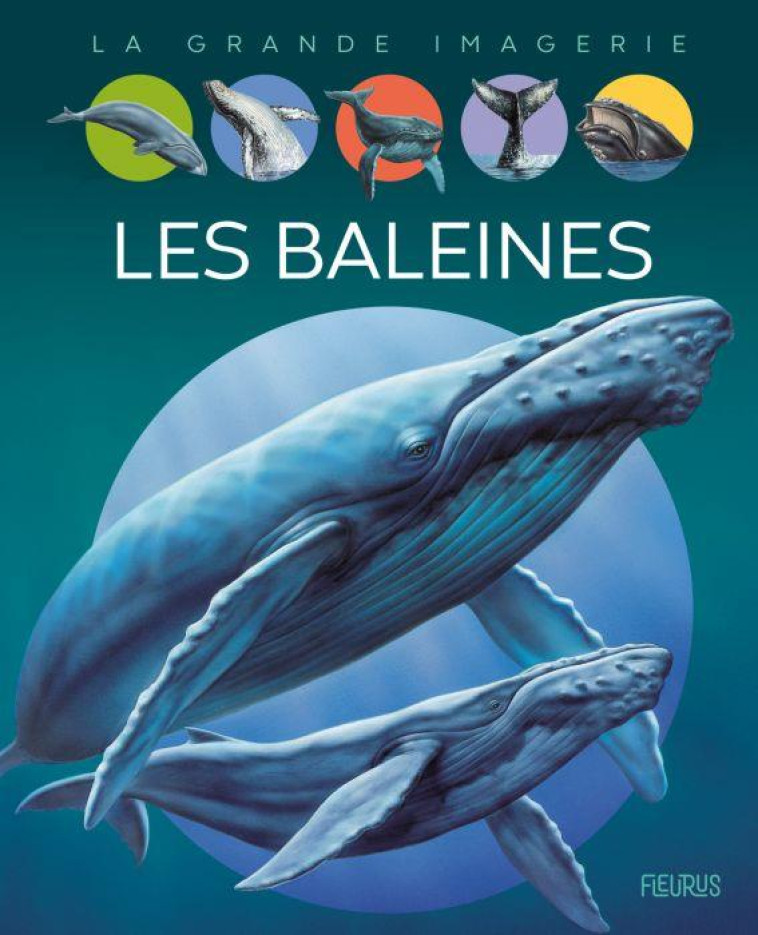 LES BALEINES - VANDEWIELE/DAYAN - FLEURUS