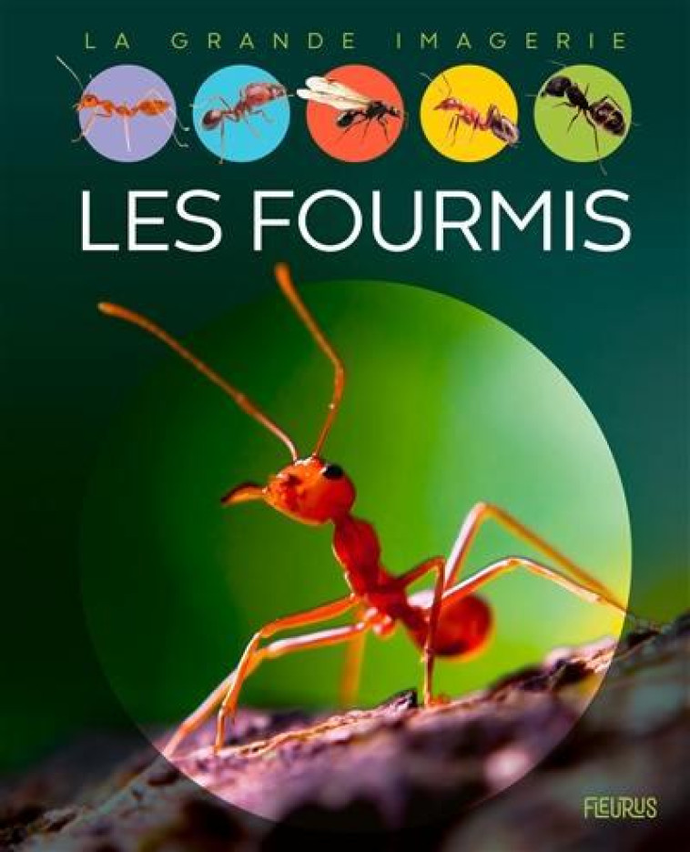 LES FOURMIS - XXX - NC