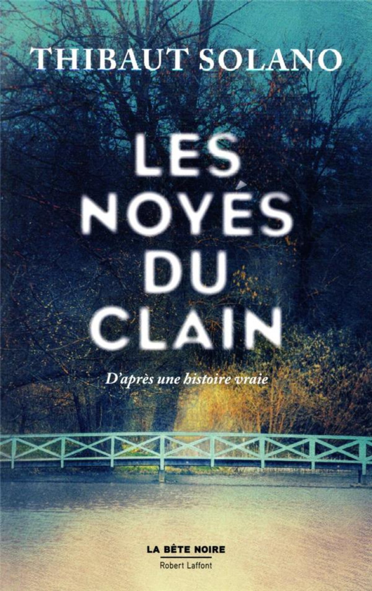 LES NOYES DU CLAIN - SOLANO THIBAUT - ROBERT LAFFONT