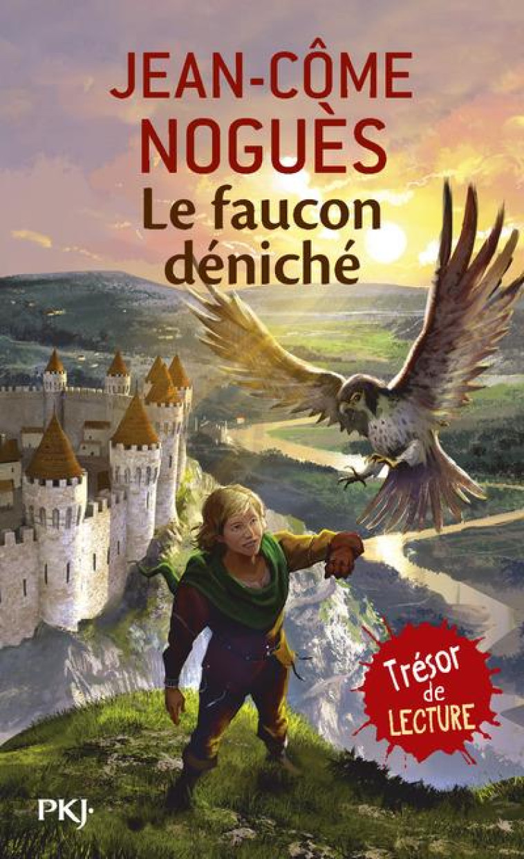 LE FAUCON DENICHE - NOGUES/DELVAL - POCKET