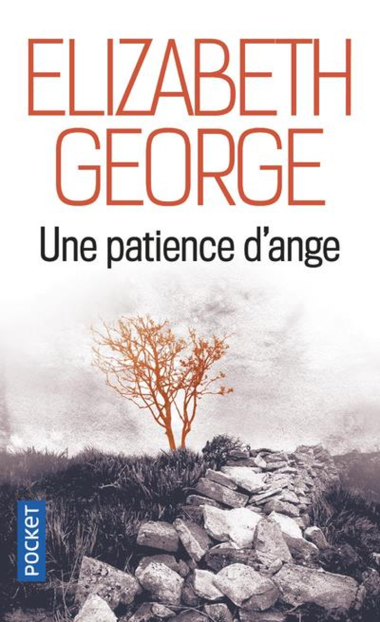 UNE PATIENCE D-ANGE - GEORGE ELIZABETH - POCKET