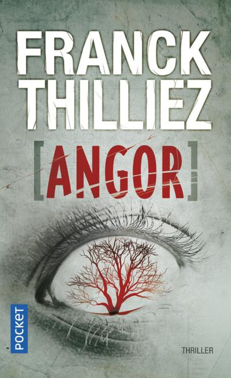 ANGOR - THILLIEZ FRANCK - Pocket