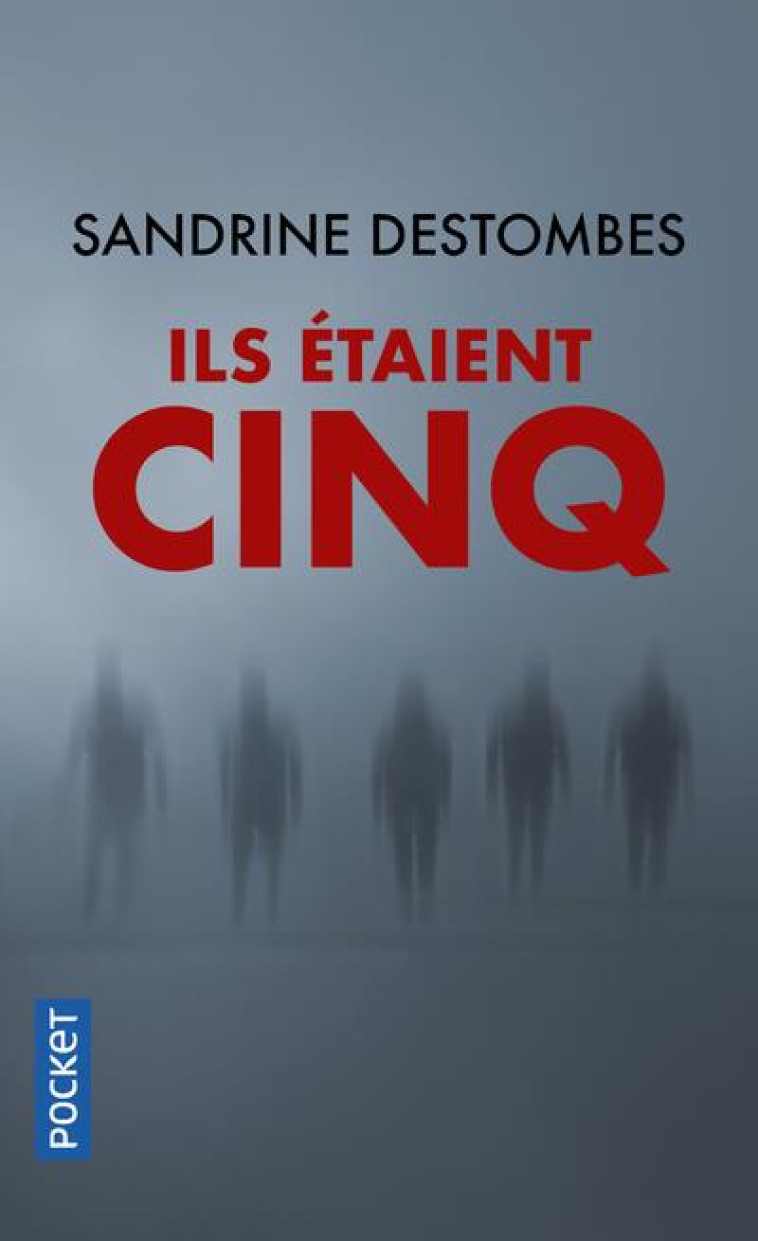 ILS ETAIENT CINQ - DESTOMBES SANDRINE - POCKET