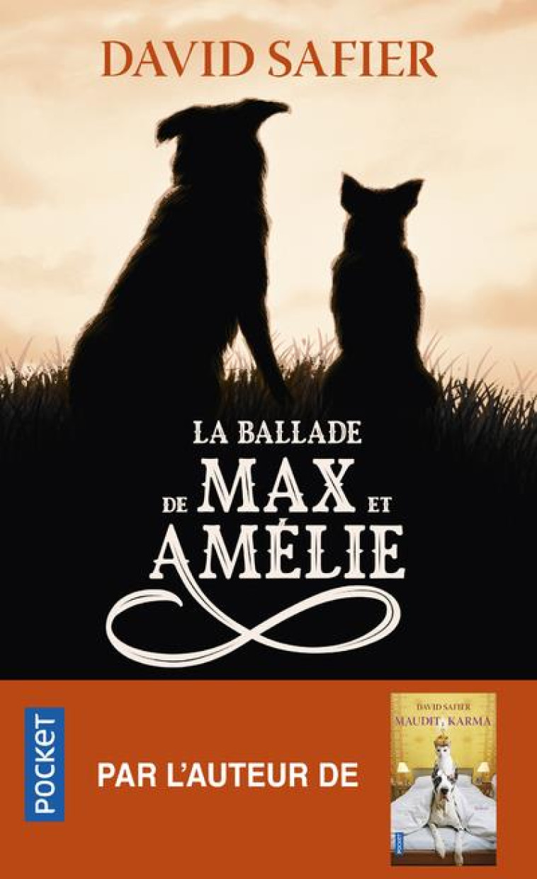 LA BALLADE DE MAX ET AMELIE - SAFIER DAVID - POCKET