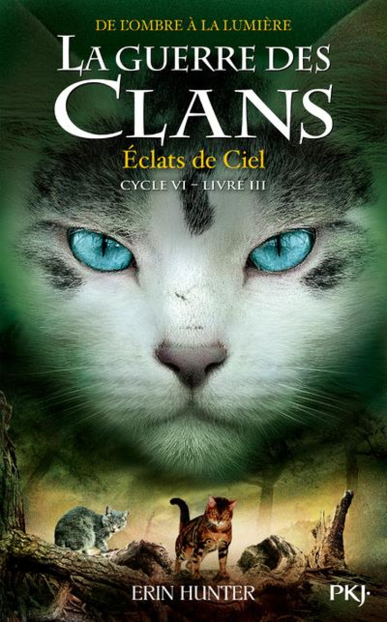 LA GUERRE DES CLANS - CYCLE VI - TOME 3 - ECLATS DANS LE CIEL - HUNTER ERIN - POCKET