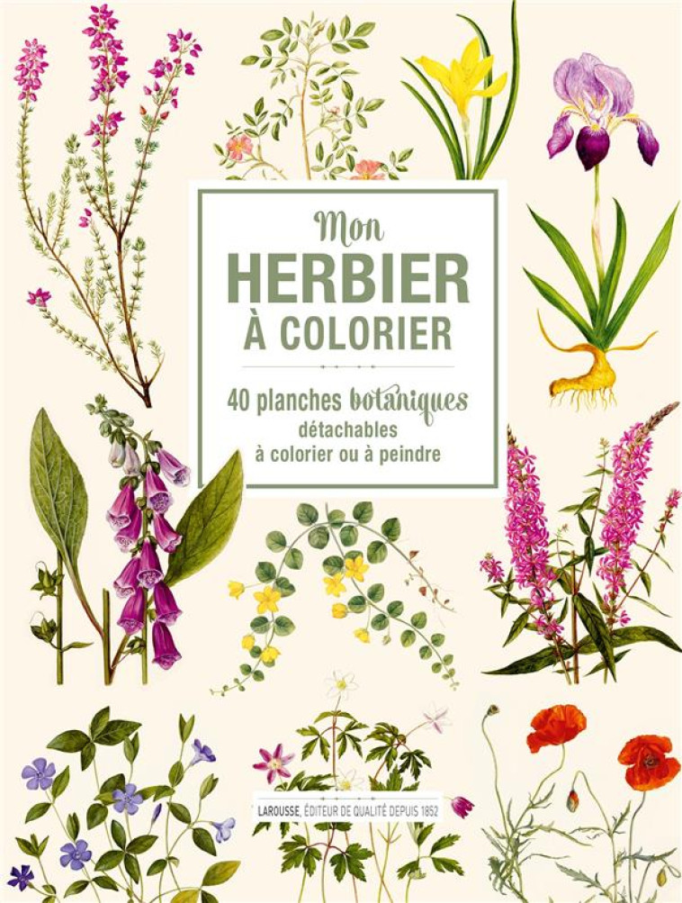 MON HERBIER A COLORIER - XXX - NC