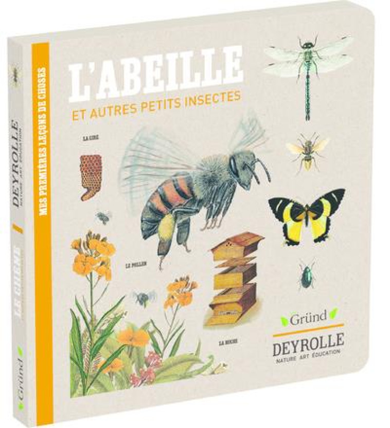 L-ABEILLE ET AUTRES PETITS INSECTES - DEYROLLE - ALADJIDI/PELLISSIER - GRUND