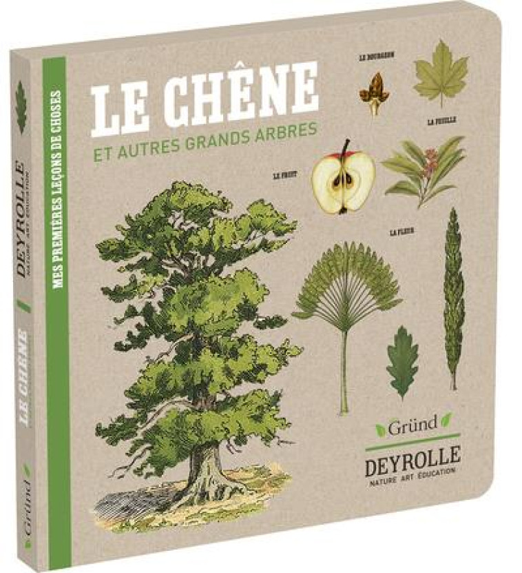 LE CHENE ET AUTRES GRANDS ARBRES - DEYROLLE - ALADJIDI/PELLISSIER - GRUND