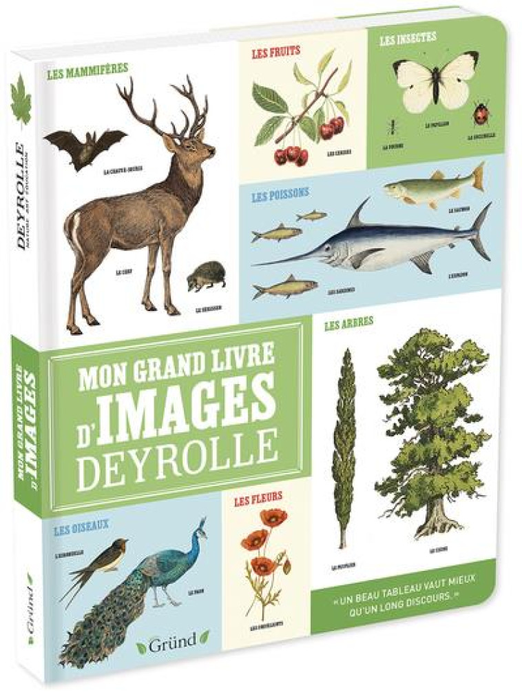 MON GRAND LIVRE D-IMAGES DEYROLLE - ALADJIDI/PELLISSIER - GRUND