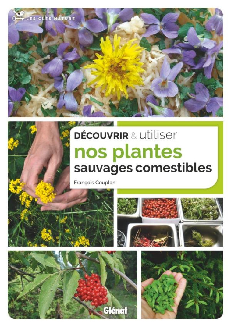 DECOUVRIR ET UTILISER NOS PLANTES SAUVAGES COMESTIBLES - COUPLAN FRANCOIS - GLENAT