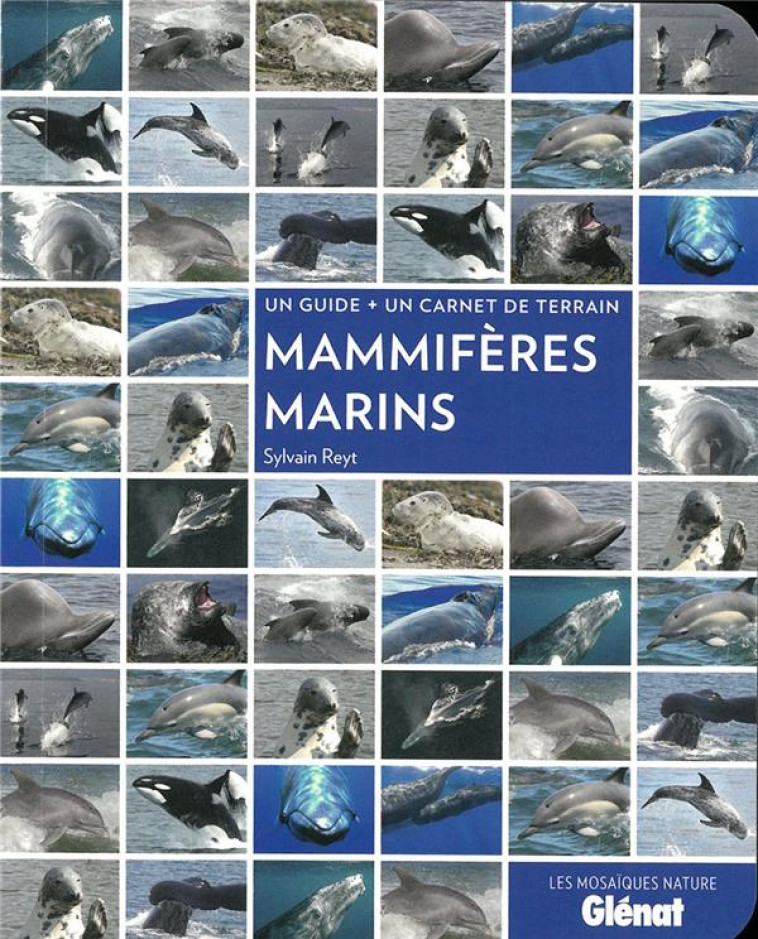 MAMMIFERES MARINS - REYT SYLVAIN - GLENAT