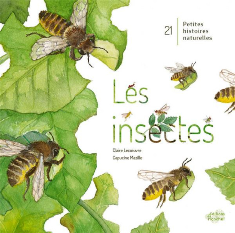 LES INSECTES ! (COLL. 21 PETITES HISTOIRES NATURELLES) - LECOEUVRE/MAZILLE - RICOCHET