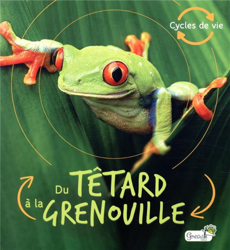 DU TETARD A LA GRENOUILLE - DE LA BEDOYERE C. - GRENOUILLE