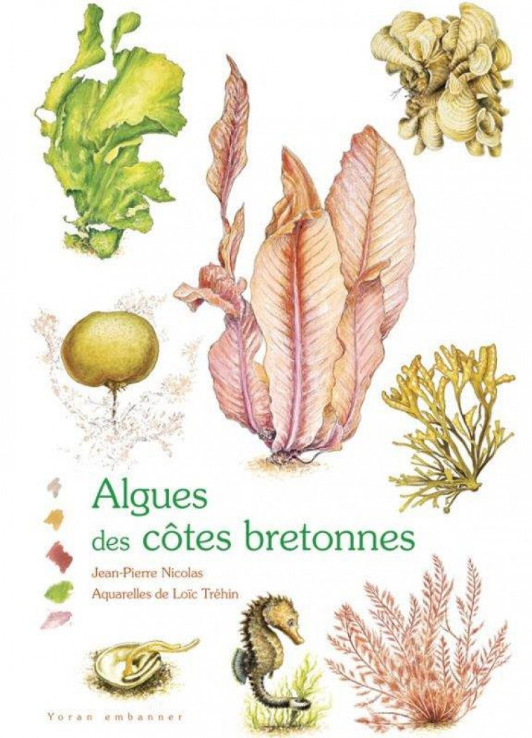 ALGUES DES COTES BRETONNES - NICOLAS/TREHIN - YORAN EMBANNER