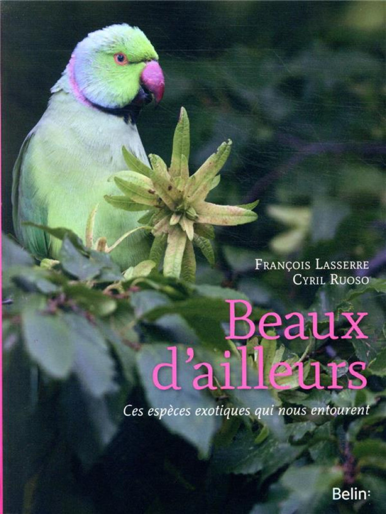 BEAUX D-AILLEURS - LASSERRE/RUOSO - DORLING KINDERS