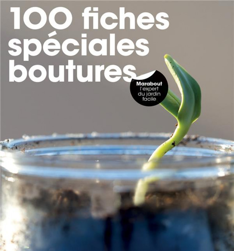100 FICHES BOUTURES - 100 FICHES - MARABOUT