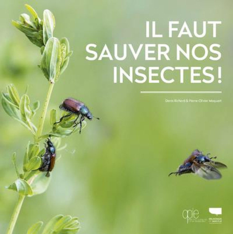 IL FAUT SAUVER NOS INSECTES - RICHARD/MAQUART - DELACHAUX