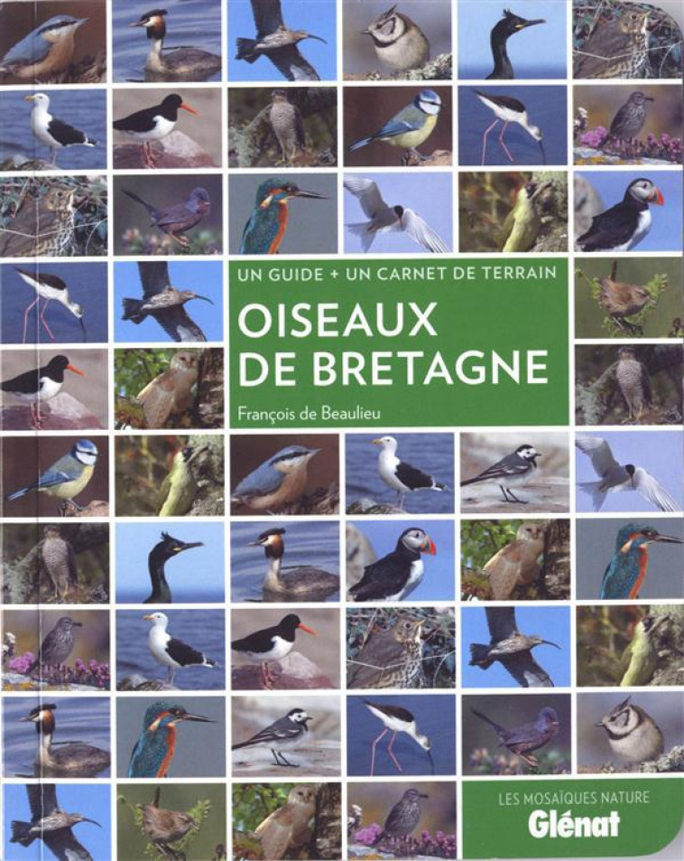 OISEAUX DE BRETAGNE - BEAULIEU FRANCOIS - Glénat
