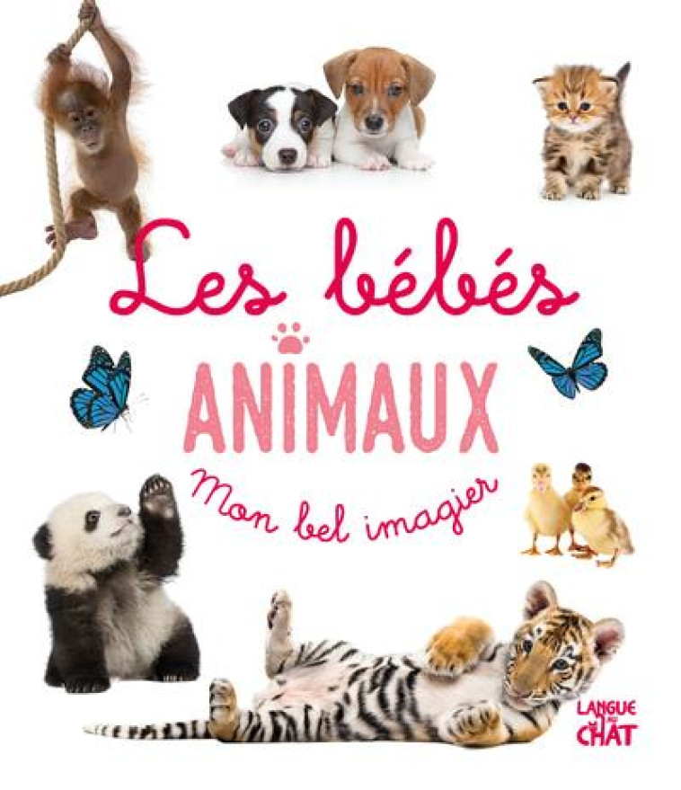 MON BEL IMAGIER PHOTO - LES BEBES ANIMAUX - COLLECTIF - LANGUE AU CHAT