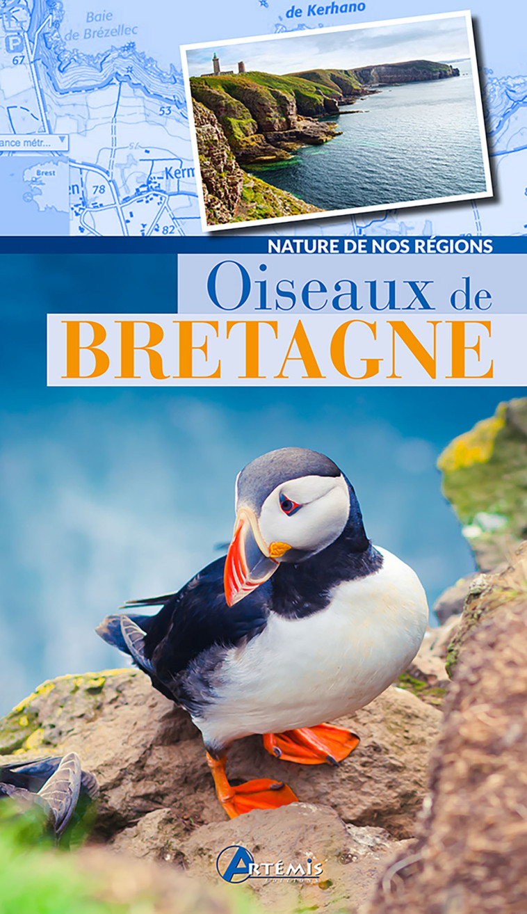 OISEAUX DE BRETAGNE -  Collectif - ARTEMIS