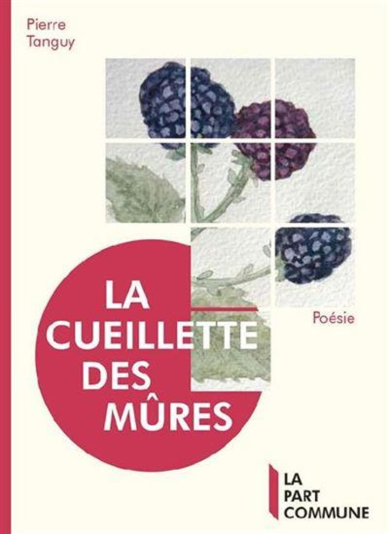 LA CUEILLETTE DES MURES - TANGUY PIERRE - PART COMMUNE