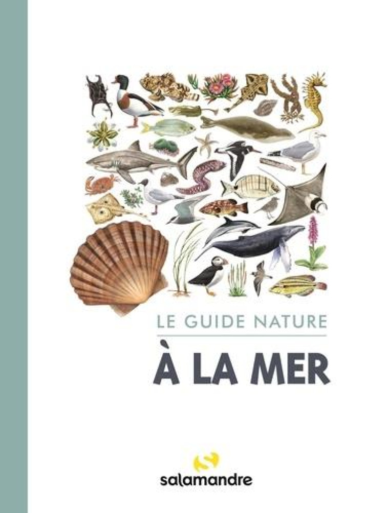 LE GUIDE NATURE : AU BORD DE MER - COLLECTIF - LA SALAMANDRE