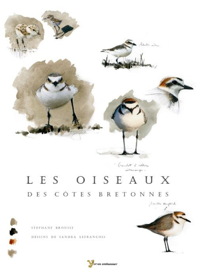 OISEAUX DES COTES BRETONNES - BROUSSE/LEFRANCOIS - YORAN EMBANNER