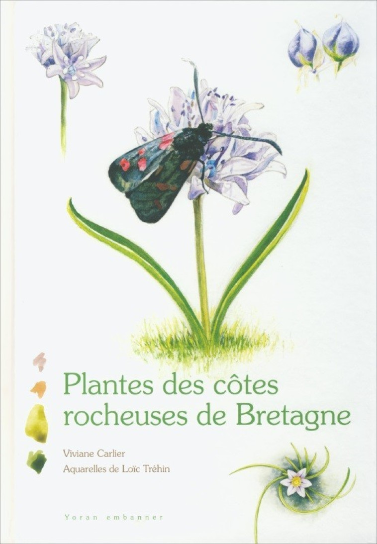 PLANTES DES COTES ROCHEUSES DE BRETAGNE - Viviane Carlier, Loïc TRÉHIN - YORAN EMBANNER