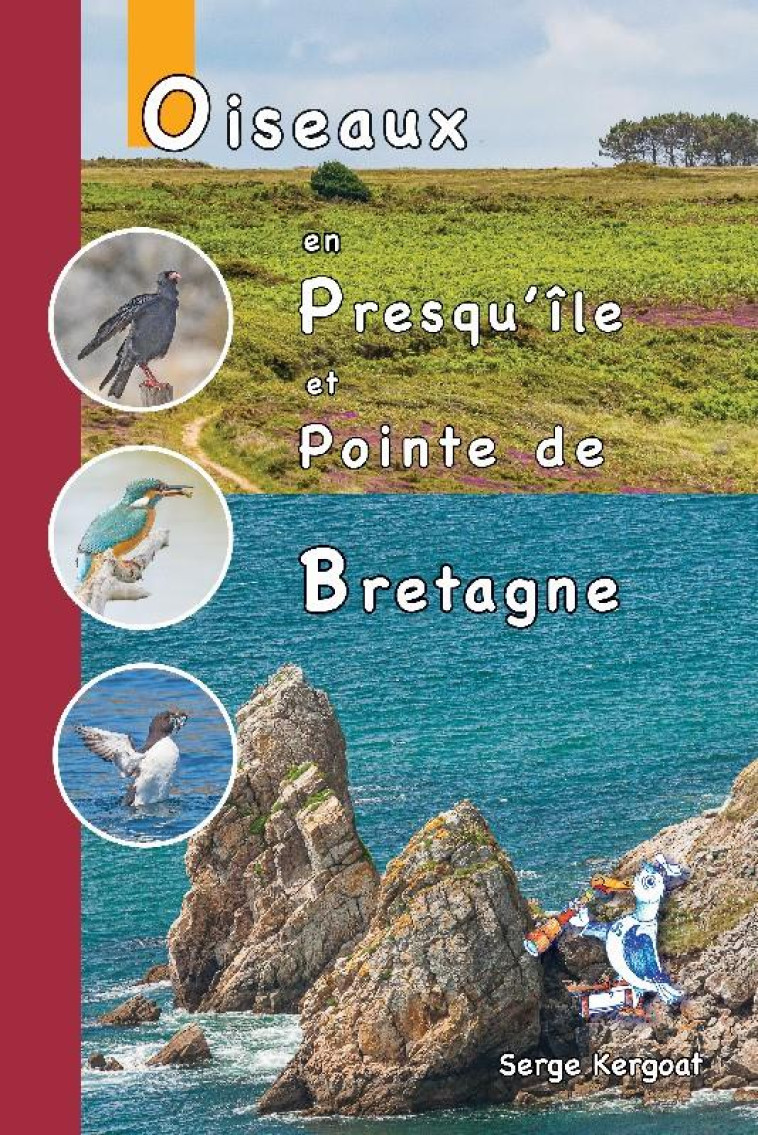 OISEAUX EN PRESQU ILE  ET POINTE DE BRETAGNE - KERGOAT SERGE - PUBLITEX