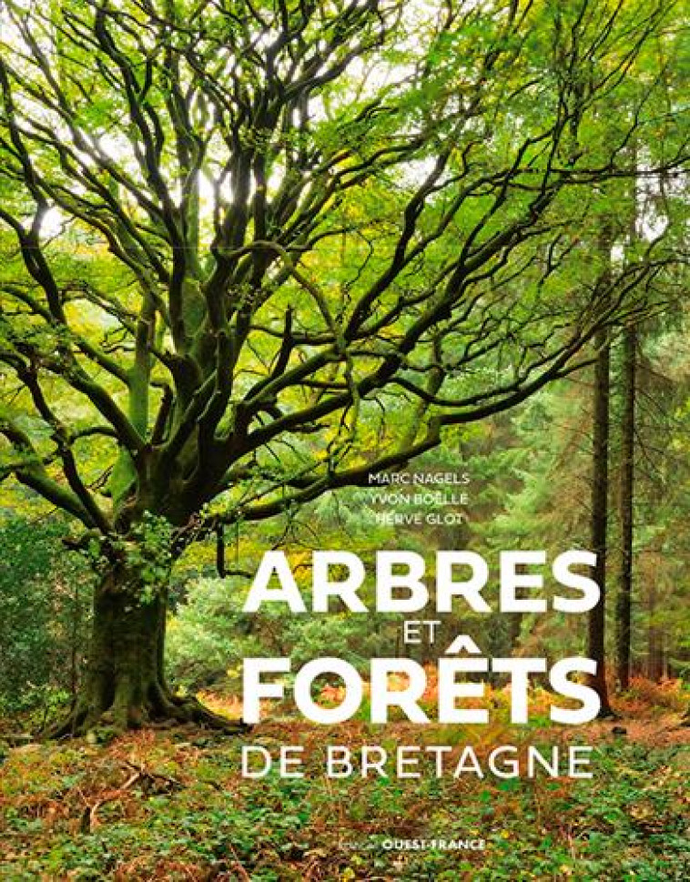 ARBRES ET FORETS DE BRETAGNE - GLO FRED/NAGELS MARC - OUEST FRANCE