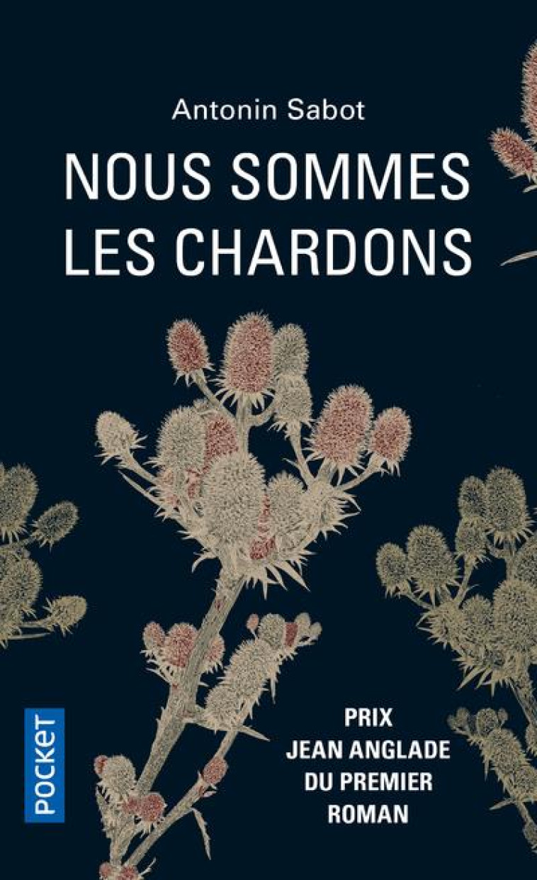 NOUS SOMMES LES CHARDONS - SABOT/LEDIG - POCKET