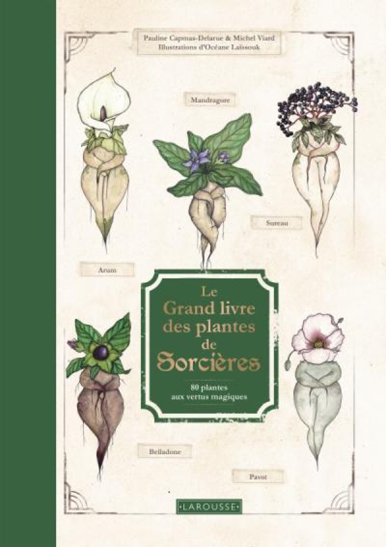 LE GRAND LIVRE DES PLANTES DE SORCIERES - VIARD/CAPMAS-DELARUE - LAROUSSE