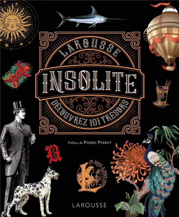 L-INSOLITE - COLLECTIF - LAROUSSE