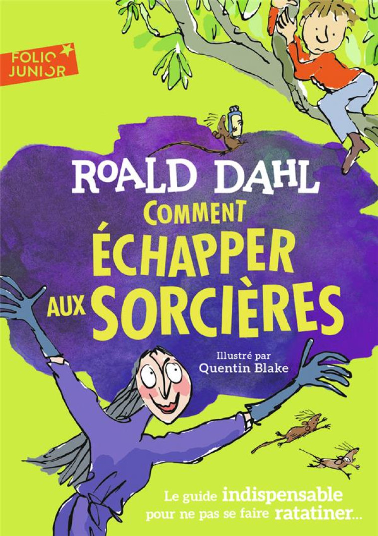 COMMENT DEMASQUER UNE SORCIERE ? - DAHL/BLAKE - GALLIMARD