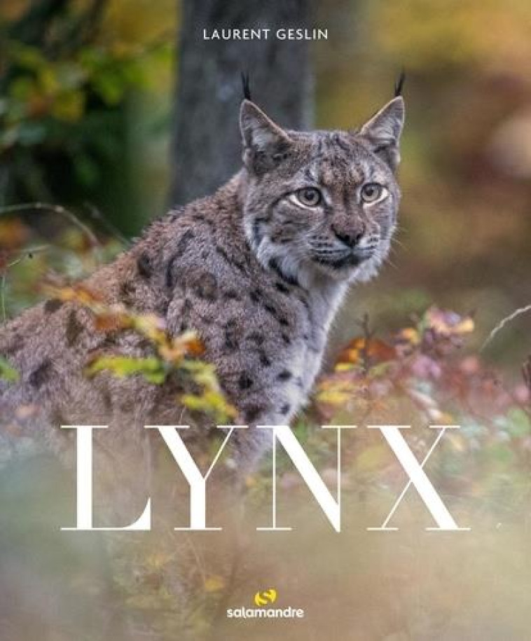 LYNX - GESLIN LAURENT - LA SALAMANDRE