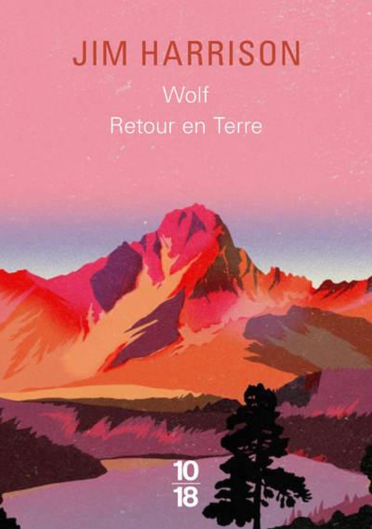 BIG BOOK WOLF / RETOUR EN TERRE - HARRISON/BUSNEL - 10 X 18