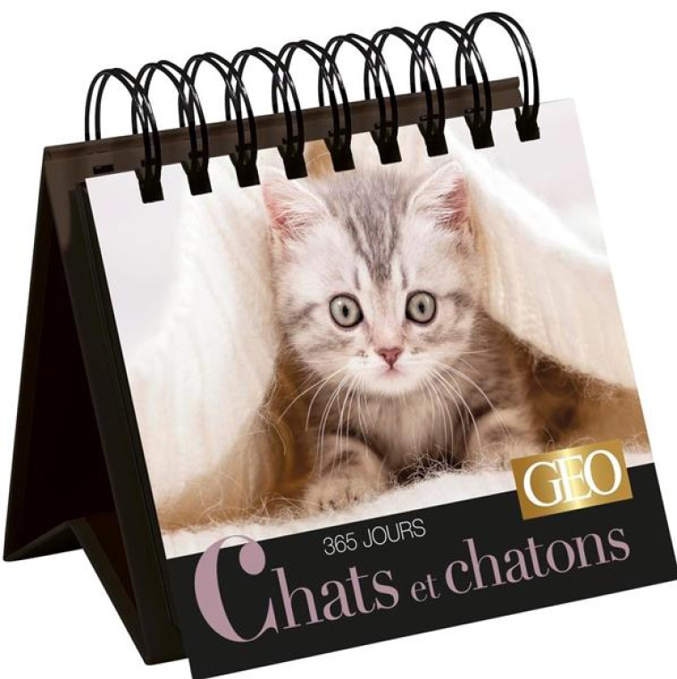 365 JOURS CHATS ET CHATONS  - CALENDRIER GEO - XXX - PRISMA