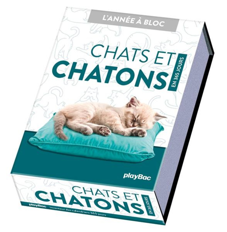 CALENDRIER CHATS ET CHATONS EN 365 JOURS - L-ANNEE A BLOC - XXX - PRISMA