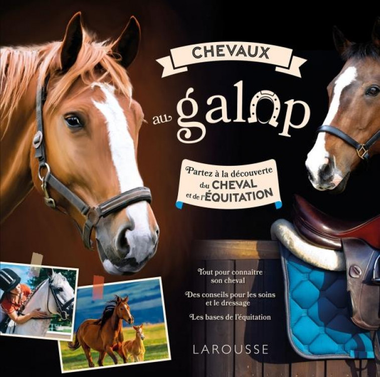 AU GALOP - UNE SAISON A CHEVAL - COLLECTIF - LAROUSSE